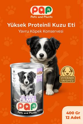  100 - 500 gr Pets and Plants - کد 931965655