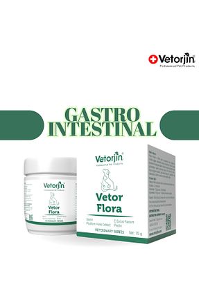  Vetorjin - کد 942663530