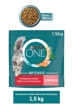 غذای خشک گربه Evet Purina One - کد 65925216