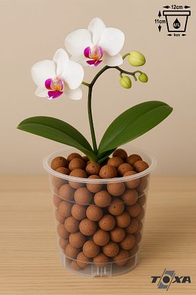 گلدان طلائی ToXA - کد 793419456