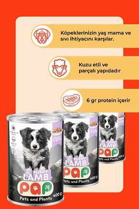  100 - 500 gr Pets and Plants - کد 931965655
