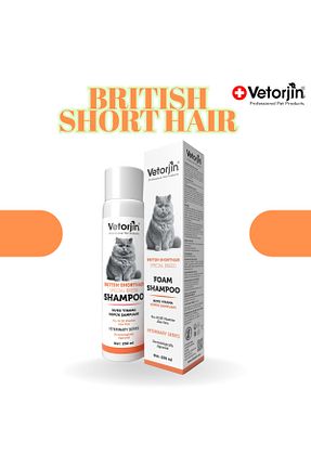  Vetorjin - کد 942573579