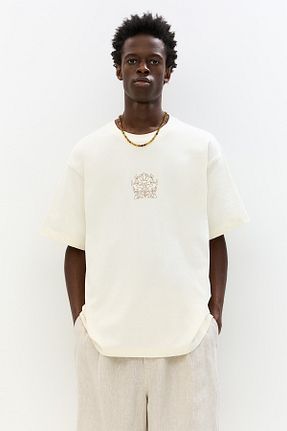 تیشرت نباتی مردانه رگولار Pull & Bear - کد 942678453