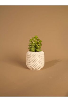 گلدان سفید Lea Concept - کد 945481558