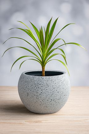 گلدان طوسی DEFORA - کد 928639280