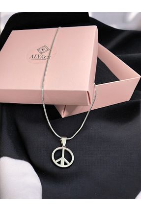 گردنبند استیل ( فولاد ) طوسی زنانه استیل ضد زنگ alyacs - کد 945370669