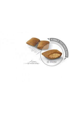  Yetişkin (1 - 7 سال) Royal Canin - کد 32054969