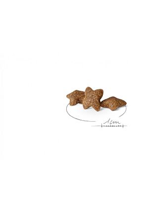  Yetişkin (1 - 7 سال) Royal Canin - کد 1914360