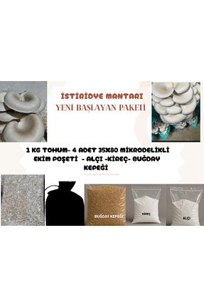 بذرها Bitki Tohumları Mantarım - کد 946582978