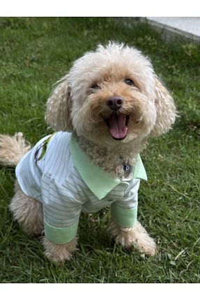  سبز WoofTailor - کد 947185072