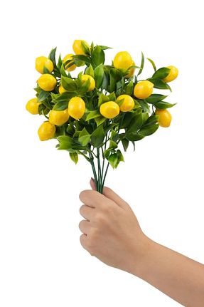 گل خشک و مصنوعی سفید Yapay Çiçek Deposu - کد 34934008