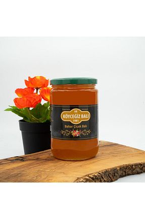 عسل kb köyceğiz balı - کد 58962342