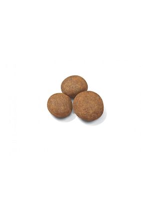  Orta (11 - 25 kg) Royal Canin - کد 750128