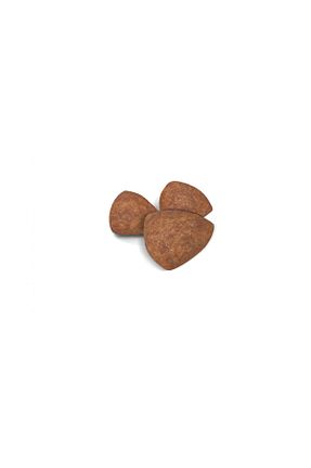  Royal Canin - کد 44795489