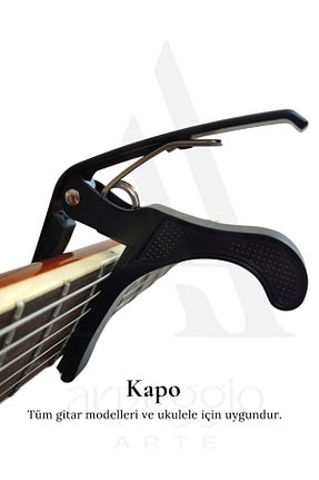 اکسسوری گیتار arpeggio ARTE - کد 947194651