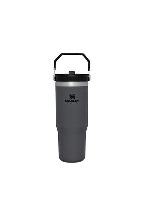 ماگ طوسی Stanley - کد 746582663