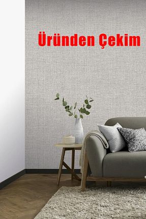 کاغذ دیواری طوسی Yapışkan Gerekli Bien Duvar Kağıtları - کد 2282187