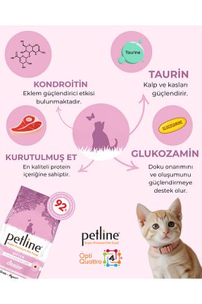 غذای خشک گربه خیر Petline - کد 38583427