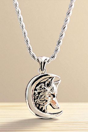 گردنبند استیل ( فولاد ) سفید مردانه روکش نقره AK STORE SİLVER - کد 888520354