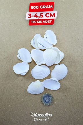 دکوراسیون و اکسسوری اکواریوم Kuzeylina - کد 794845735