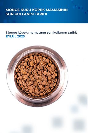  Yetişkin (1 - 7 سال) Monge - کد 828268964