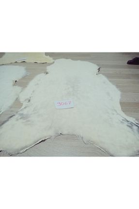 فرش سفید آنتی باکتریال hoaryage - کد 947715790