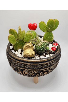 گلدان مشکی Home - کد 949070379