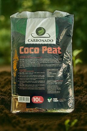 ذغال سنگ نارس و خاک Carbonado - کد 936582051