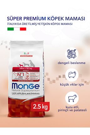  Yetişkin (1 - 7 سال) Monge - کد 828269544