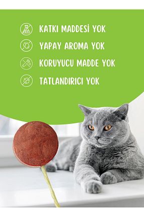 جایزه گربه PET POPS - کد 931746346