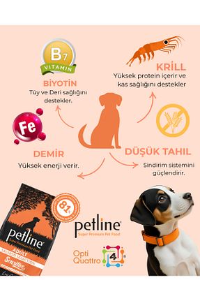  Yetişkin (1 - 7 سال) Petline - کد 37075088
