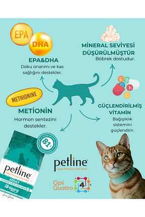 غذای خشک گربه خیر Petline - کد 824073393