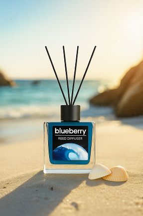 خوشبو کننده هوا Okyanus Blueberry - کد 876886250