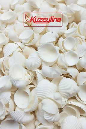 دکوراسیون و اکسسوری اکواریوم Kuzeylina - کد 794845735