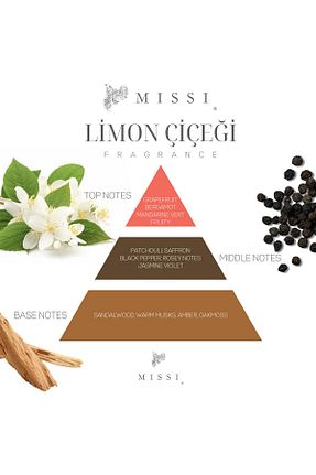  Missi - کد 950928484