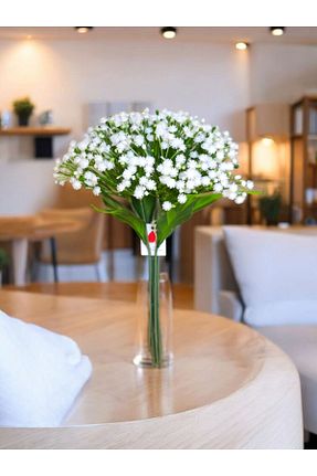 گل خشک و مصنوعی سفید MD Aspiz Flowers - کد 805223494