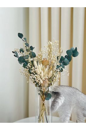 گل خشک و مصنوعی رنگی Beyma - کد 950207527