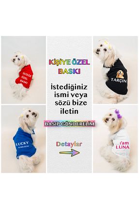  رنگی Buddy Store - کد 951000653