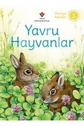 کتب پژوهشی Tübitak Yayınları - کد 6408644