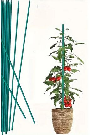 تجهیزات گلخانه و گلخانه chasten emporium - کد 953203134