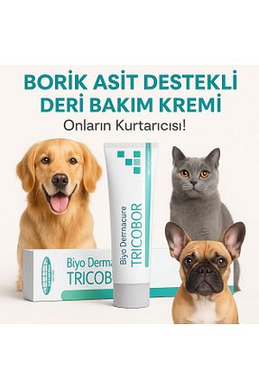  Biyoteknik - کد 953642577