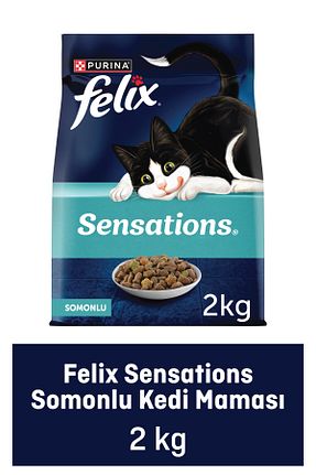 غذای خشک گربه خیر FELIX - کد 808728352