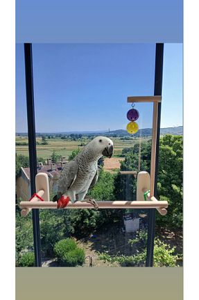  ADAPATİ PET - کد 943727388