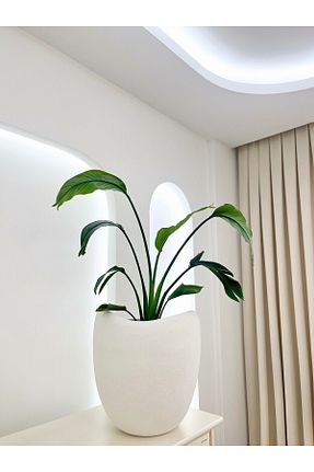 ژاردینیر سفید 40 سانتی متر Lunalore - کد 905027873