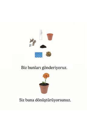 بذر و گیاه HOBİ - کد 953802418