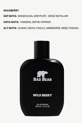 ادکلن مردانه Bad Bear - کد 769516547