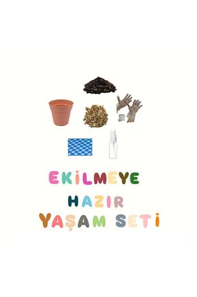 بذر و گیاه HOBİ - کد 953802418