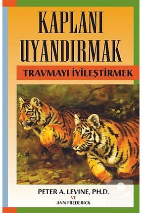 رمان Türkiye İş Bankası Kültür Yayınları - کد 283177422