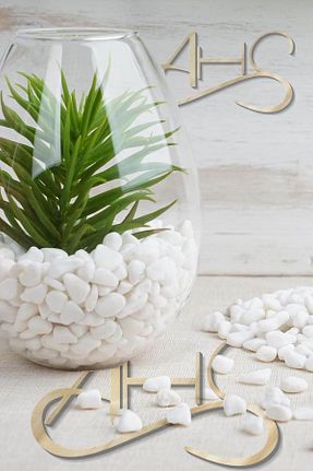 دکوراسیون و اکسسوری اکواریوم AHS - کد 771870374