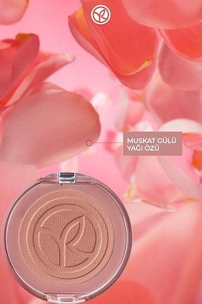 رژگونه صورتی مات Yves Rocher - کد 260003133